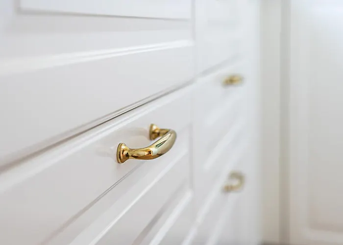 Avis Wincentego Pola *